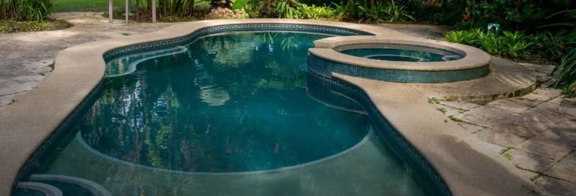 Alberca con jacuzzi entre jardín tropical
